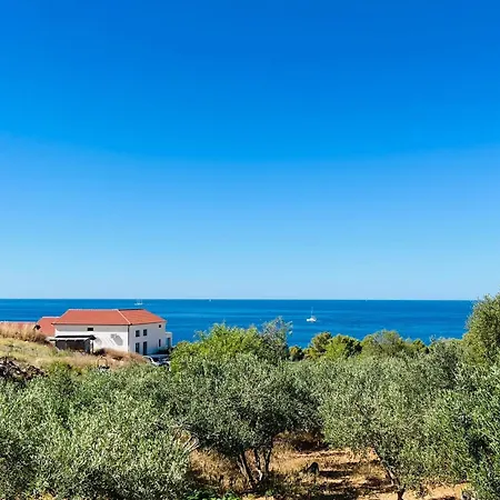 Mansion Hvar Bed & Breakfast Hvar Town