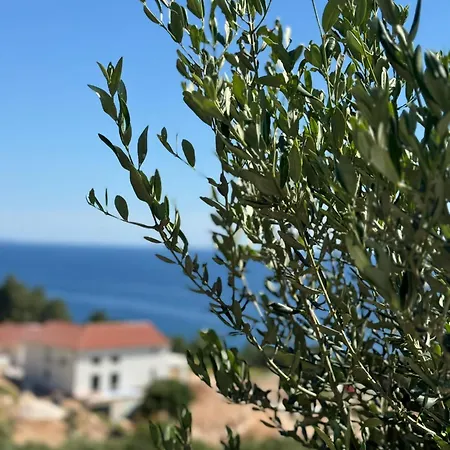 Mansion Hvar 4*